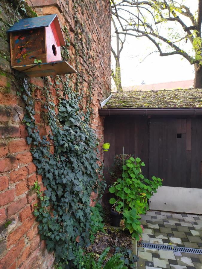 Cozy Uppertown Studio Zagreb Dış mekan fotoğraf